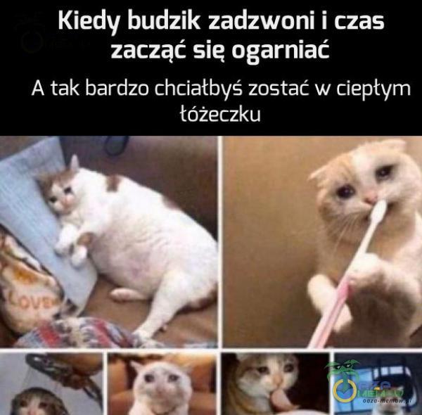 Kiedy budzik zadzwoni i czas zacząć się ogarniać A tak bardzo chciałbyś zostać w ciepłym łóżeczku