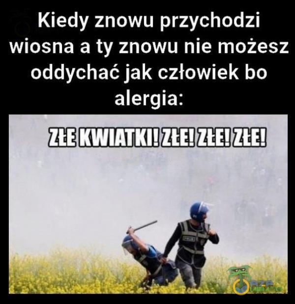 Kiedy znowu przychodzi wiosna a ty znowu nie możesz oddychać jak człowiek bo alergia: