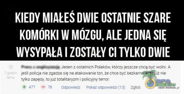   KIEDY DWIE OSTATNIE SZARE KOMORKI W MÓZGU, ALE JEDNA WYSYPAŁA ZOSTAŁY CI TYLKO DWIE Jeden z ostatnich Polaków. którzy jeszcze Chcą byc wolni. A - - jeśli policja zgadza na atakowane tzn. zechce być bezkarna. A to już nie tylko Zapędy. to...