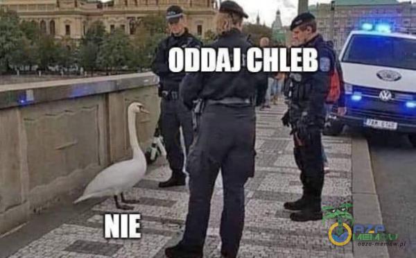 ODDAJ CHLEB,