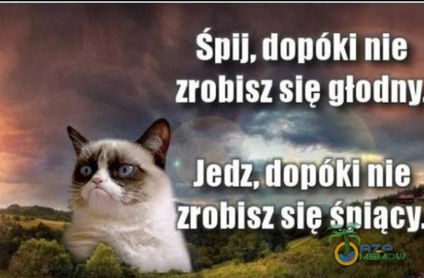 śnll. uunókl nle zrobisz sIę głodny Jem wije: rohlśiilę śnlącv.