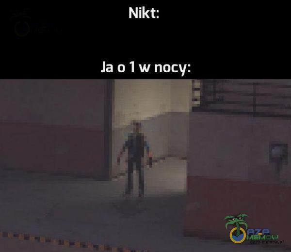 Nikt: Ja 0 1 w nocy: