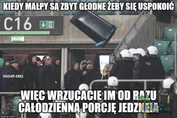 HALEY SĄ ZBYT GŁODNE ŻEBY SIĘ USĘOKOIĆ GEJ. R | NP sz mA aicna wie! IMODRAZU KUWETY KIEDY y KIE ka