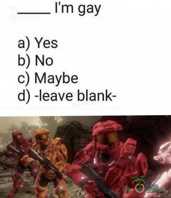 ____Imgay a) Yes b) No c) Maybe d) -leave blank-