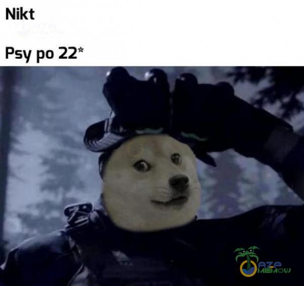 Nikt Psy po 22*