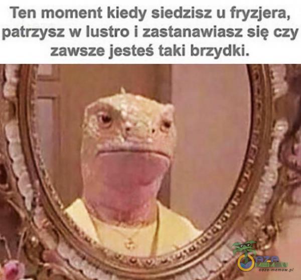 Terr moment kiedy słedzisz u fryzjera, patrzysz w lustro | zastanawiasz elę czy zawsze jesteś tuki krzydki.