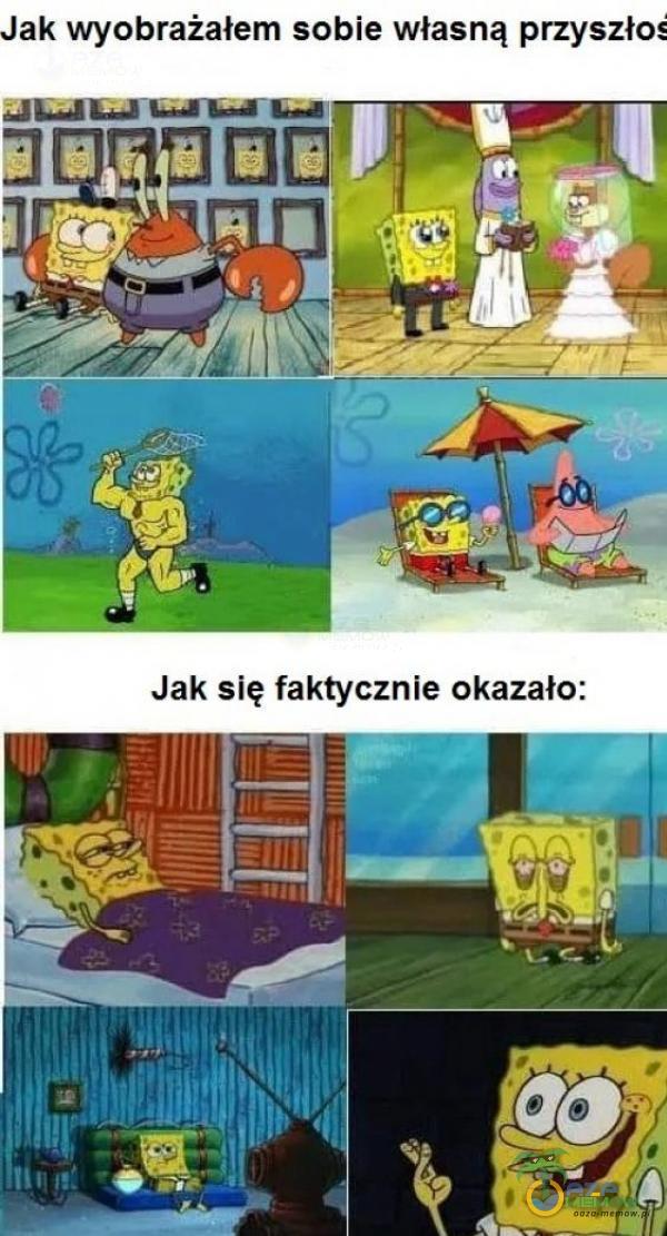 Jak wyobrażałem sobie własną Jak się faktycznie okazało: