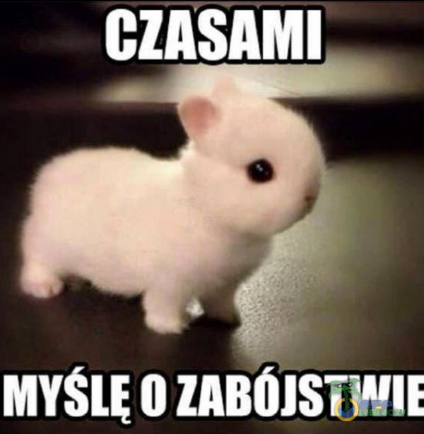 . mśuęuznnńisrwu