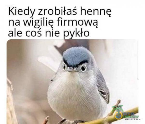 Codziennie tylko śmieszne memy, pasty, gify, suchary i filmy - przeglądaj, komentuj, dodawaj własne!