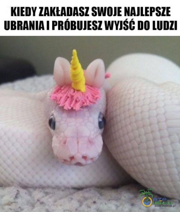 KIEDY lAKlAIlASl SWOI! MIENIE UBRANIA I I IIÓBIIIESZ WWŚG nn lllllll