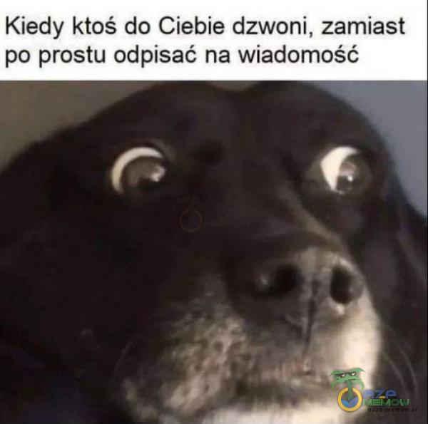 Kiedy ktoś do Ciebie dzwoni, zamiast po prostu odpisać na wiadomość