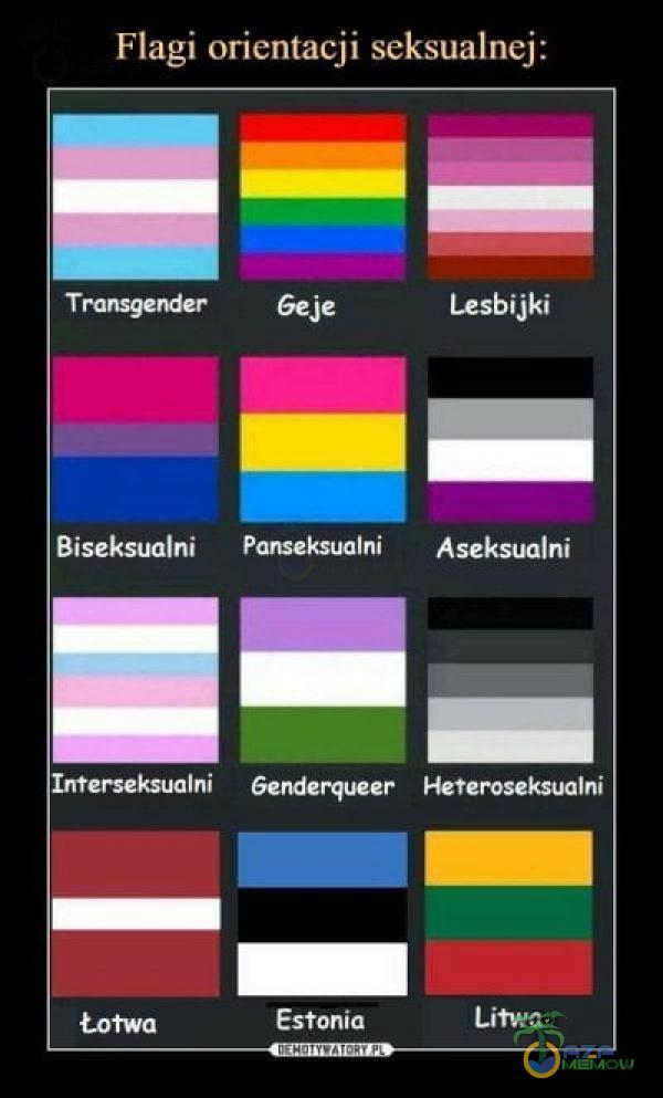 Flagi orientacji seksualnej: Transgender Geje Lesbijki Biseksualni Panseksualni Aseksualni Interseksualni Genderqueer Heteroseksualni Łotwa Estonia