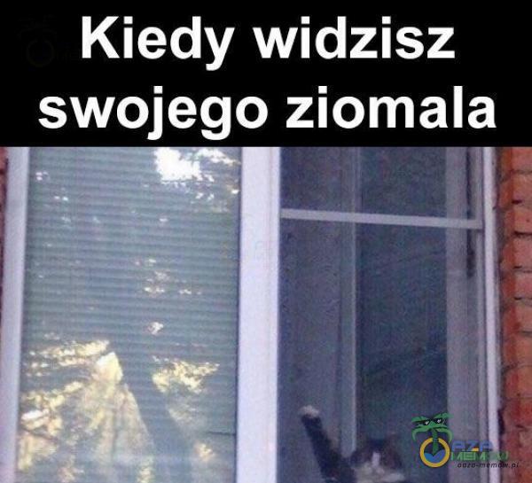 Kiedy widzisz swojego ziomala