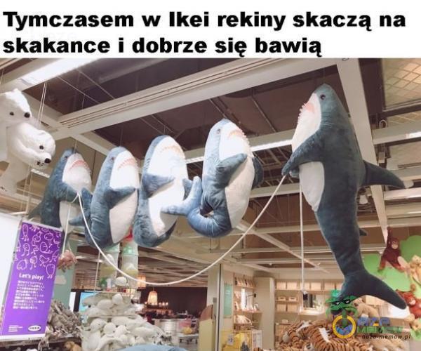 Tymczasem w Ikei rekiny skaczą na skakance i dobrze się bawią