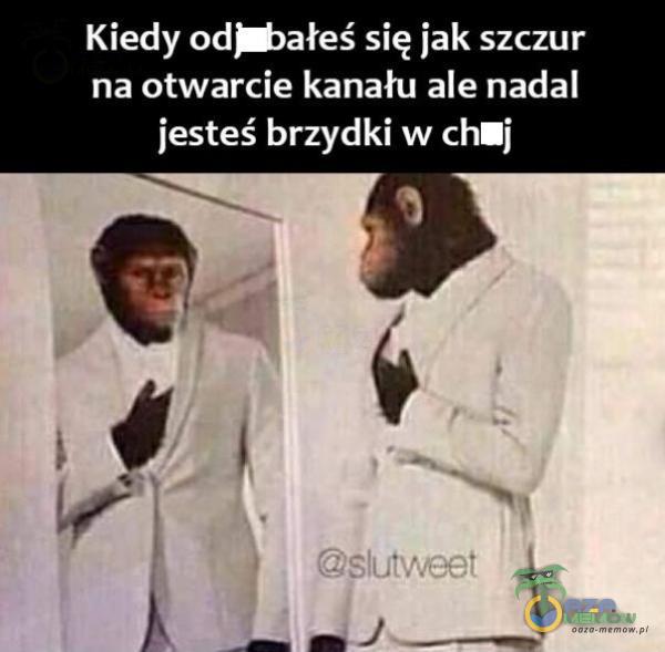 Kiedy odjbałeś się jak szczur na otwarcie kanału ale nadal jesteś brzydki w chmj