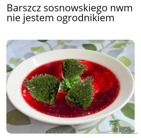 Barszcz sosnowskiego nwm nie jestem ogrodnikiem