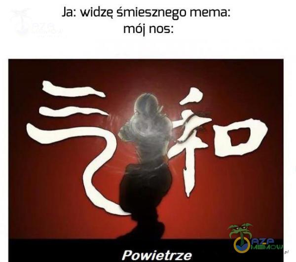 Ja: widze śmiesznego mema: mój nos: Powietrze