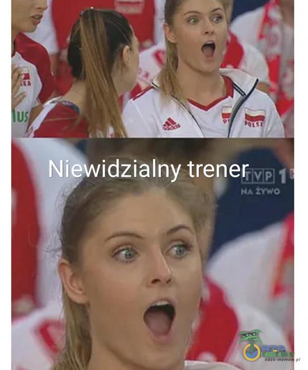 Ni idzialny trener NA ZYWO