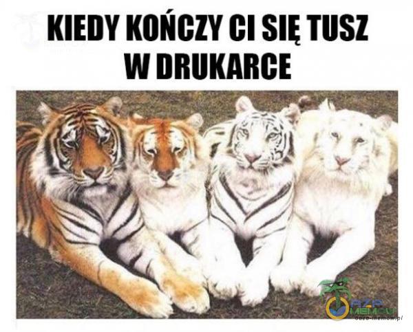 KIEDY KOŃCZY CI SIĘ TUSZ W DRUKARCE