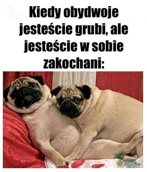 Kiedy obydwoje jesteście grubi, ale jesteście w sobie zakochani: UE