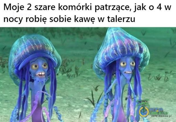 Codziennie tylko śmieszne memy, pasty, gify, suchary i filmy - przeglądaj, komentuj, dodawaj własne!