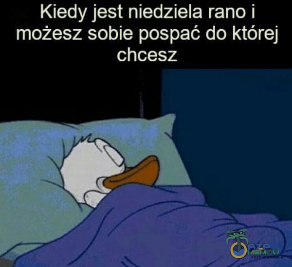 Kiedy jest niedziela rano i możesz sobie pospać do której chcesz