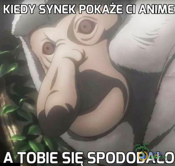 KIEDY,SYNEK POKAŻE CI ANIME A TOBIE SPODOBAŁO