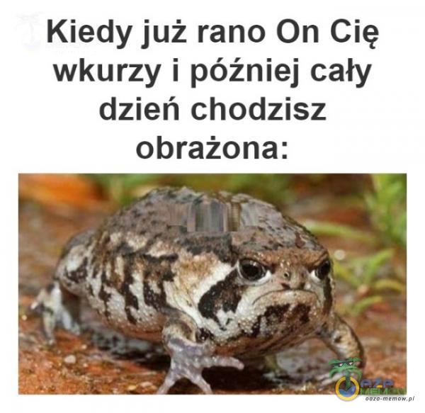 Kiedy już rano On Cię wkurzy i później cały dzień chodzisz obrażona: