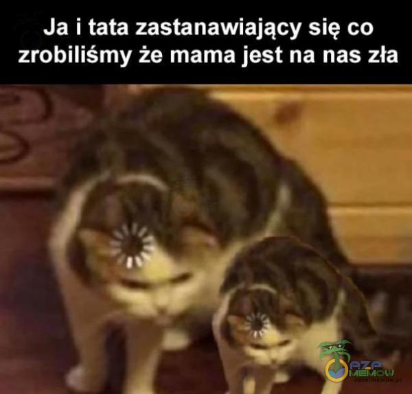 Codziennie tylko śmieszne memy, pasty, gify, suchary i filmy - przeglądaj, komentuj, dodawaj własne!