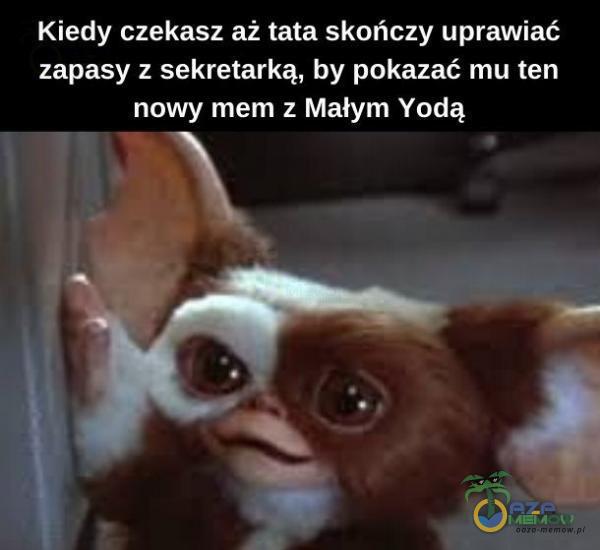 Kiedy czekasz aż tata skończy uprawiać zapasy z sekretarką, by pokazać mu ten nowy mem z Małym Yodą