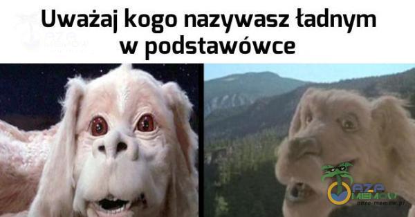 Uważaj kogo nazywasz ładnym w podstawówce