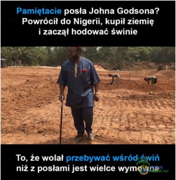 Pamiętacie posła Johna Godsona? Powrócił do Nigerii, kupił ziemię i zaczął hodować świnie [SI ua © 1 NIE. W NA „RW To, r wolał apdzioy aOLCI TED) niż z posłami jest wielce wymowne