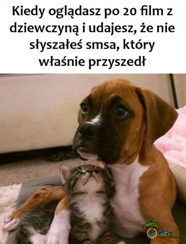 Kiedy oglądasz po 20 Film z dziewczyną i udajesz, że nie słyszałeś smsa, który właśnie przyszedł