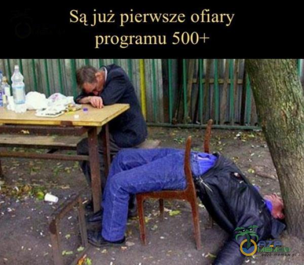 Codziennie tylko śmieszne memy, pasty, gify, suchary i filmy - przeglądaj, komentuj, dodawaj własne!