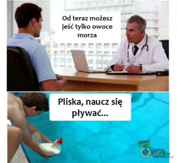 Od teraz możesz I jeść tylko owoce morza Ą Pliska, naucz się ! pływać...