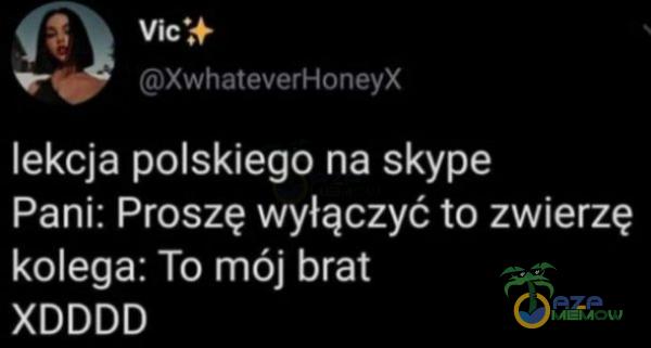 _ 1 R M SŁ lekcja polskiego na skype Pani: Proszę wyłączyć to zwierzę kolega: To mój brat XDDDD