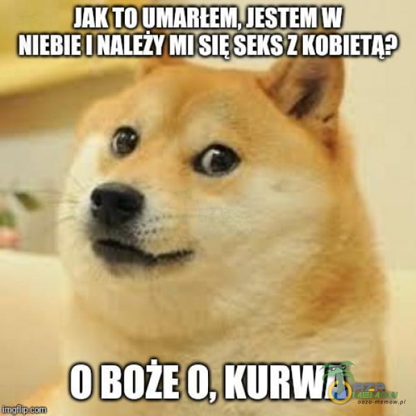 JAKJ MARŁEM, JESTEM W NIEBIE NALEžY M[SIESEKSZ KOBIETA? O K***A