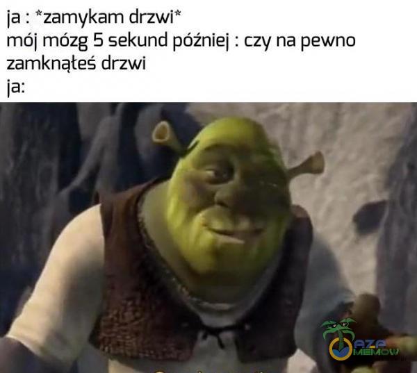 ia : ”zamykam drzwi” mó] mózg 5 sekund później : czy na pewno zamknąłeś drżwi ia: