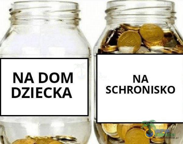 NA DOM DZIECKA NA SCHRONISKO