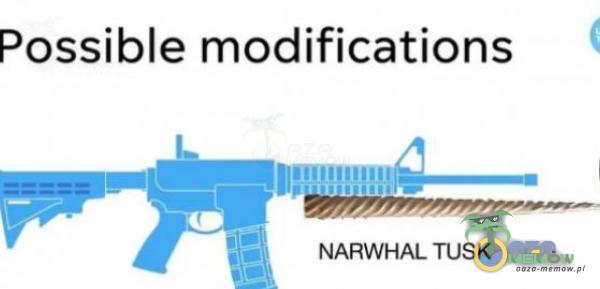 Possible modifications NARWHAL TUSK