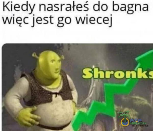 Kiedy nasrałeś do bagna więcjest go wiecej . ? ”mrn,- N ,.