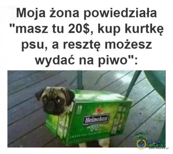 Moja żona powiedziała masz tu 20$, kup kurtkę psu, a resztę możesz wydać na piwo :