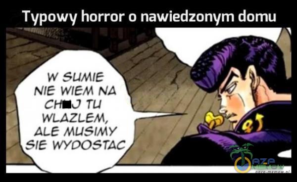 Typowy horror o nawiedzonym domu W SUMIE NIE WIEM NA CHEO TU WLAZLEM, ALE MUSIMY SIE WYOOSTAC