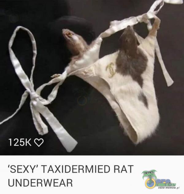 S**Y TAXIDERMIED RAT UNDERWEAR