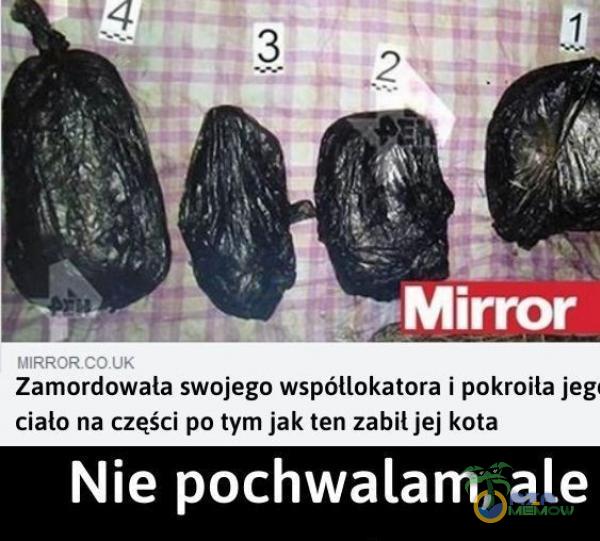 Mirror MIRRORCOUK Zamordowała swojego współlokatora i pokroiła jeg ciało na części po tym jak ten zabił jej kota Nie pochwalam, ale