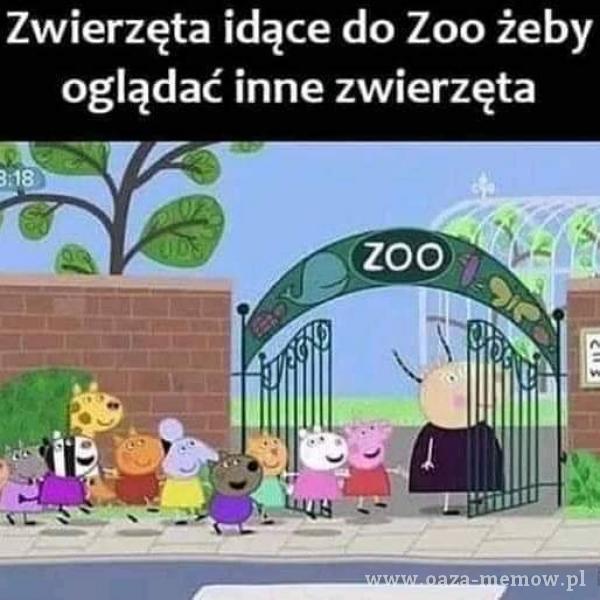 Zwierzęta idące do Zoo żeby oglądać inne zwierzęta zoo