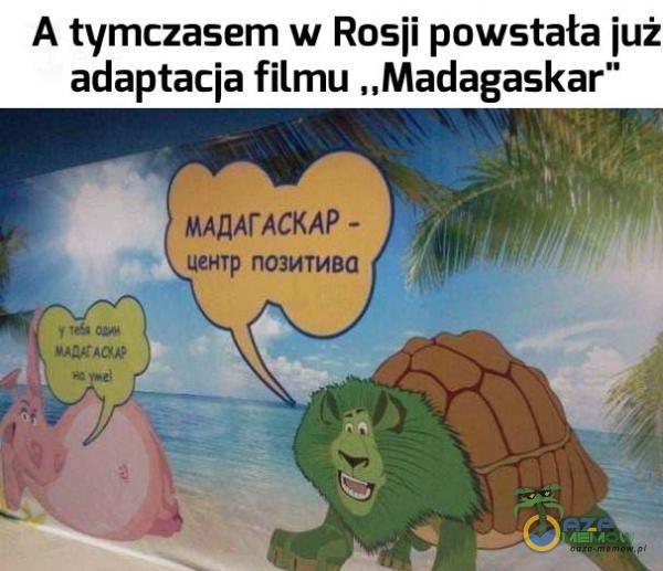 A tymczasem w Rosji powstała już adaptacja filmu „Madagaskar”