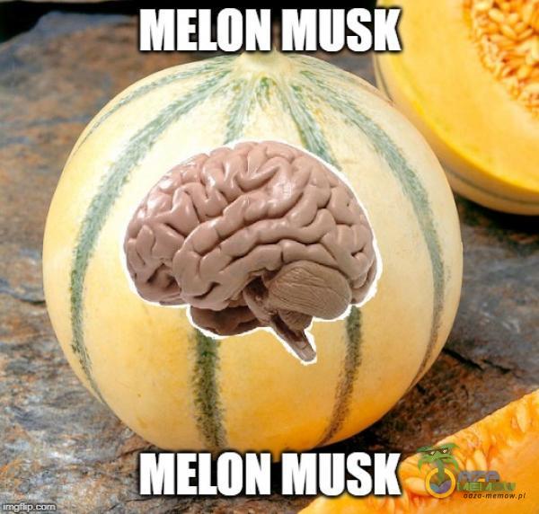 MELON MUSK MELON