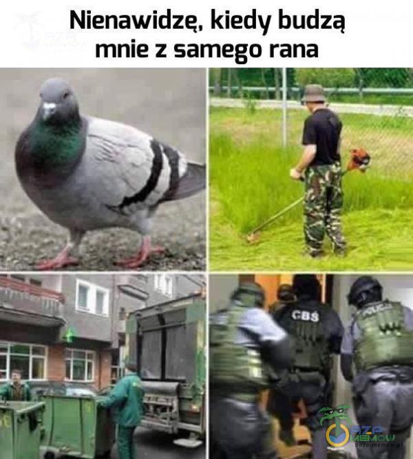 Nienawidzę, kiedy budzą mnie z samego rana • iii