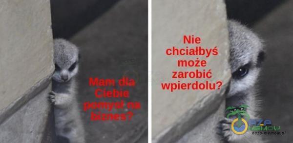 Nie chciałbyś mo*** zarobić wpierdolu?